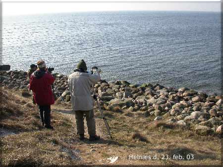 Bobakkerne, Helnæs Hans, Lilly og Niels på udkig efter Nordisk lappedykker