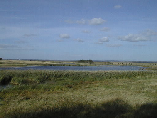 Nørresø. Drejø 20. september. 1997 set fra Fugletårnet. Udsigt mod nordøst. 28 KB. EE-foto