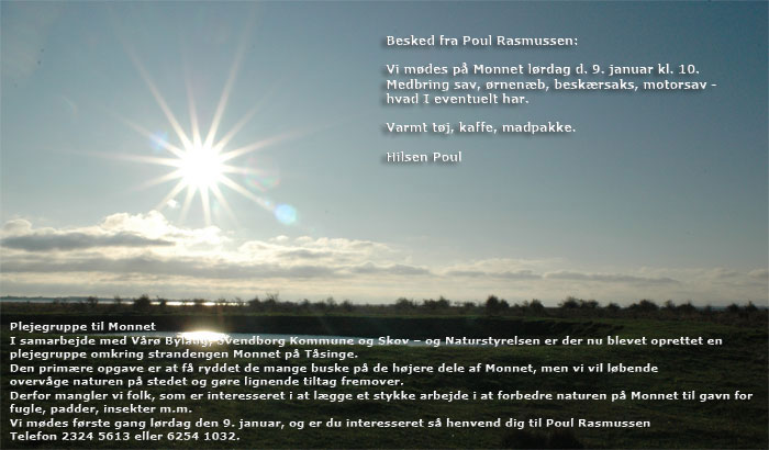 Monnet december 2009 - buskene på det høje Monnet skal væk! Besked fra  Poul Rasmussen.