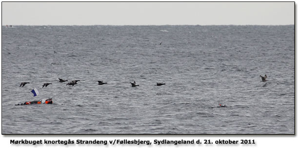 Afprøvning af nyt obssted på Sydlangeland ved Føllesbjerg. Klik på navnet for at se hvor!