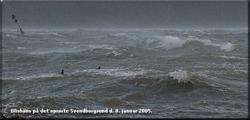Storm over Svendborgsund