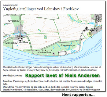 Niles Andersen har lavet en rapport over ynglefugle ved Lehnskov, Svendborg. Den kan hentes her.